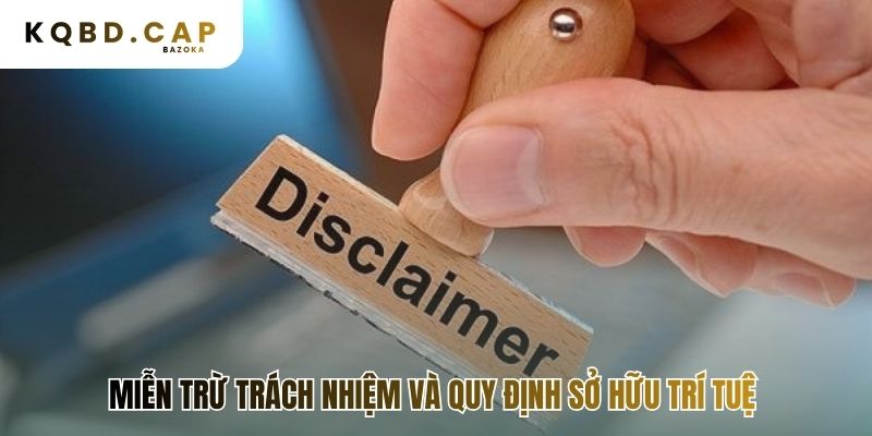 Điều khoản điều kiện giới hạn trách nhiệm và bảo vệ tài sản số